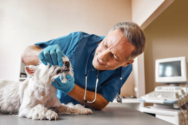 Best Emergency Wisdom Tooth Extraction in Macarthur, WV