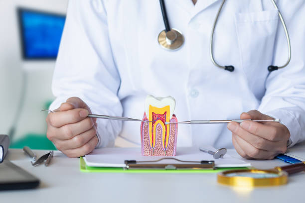 Best Urgent Dental Care for Toothaches in Macarthur, WV